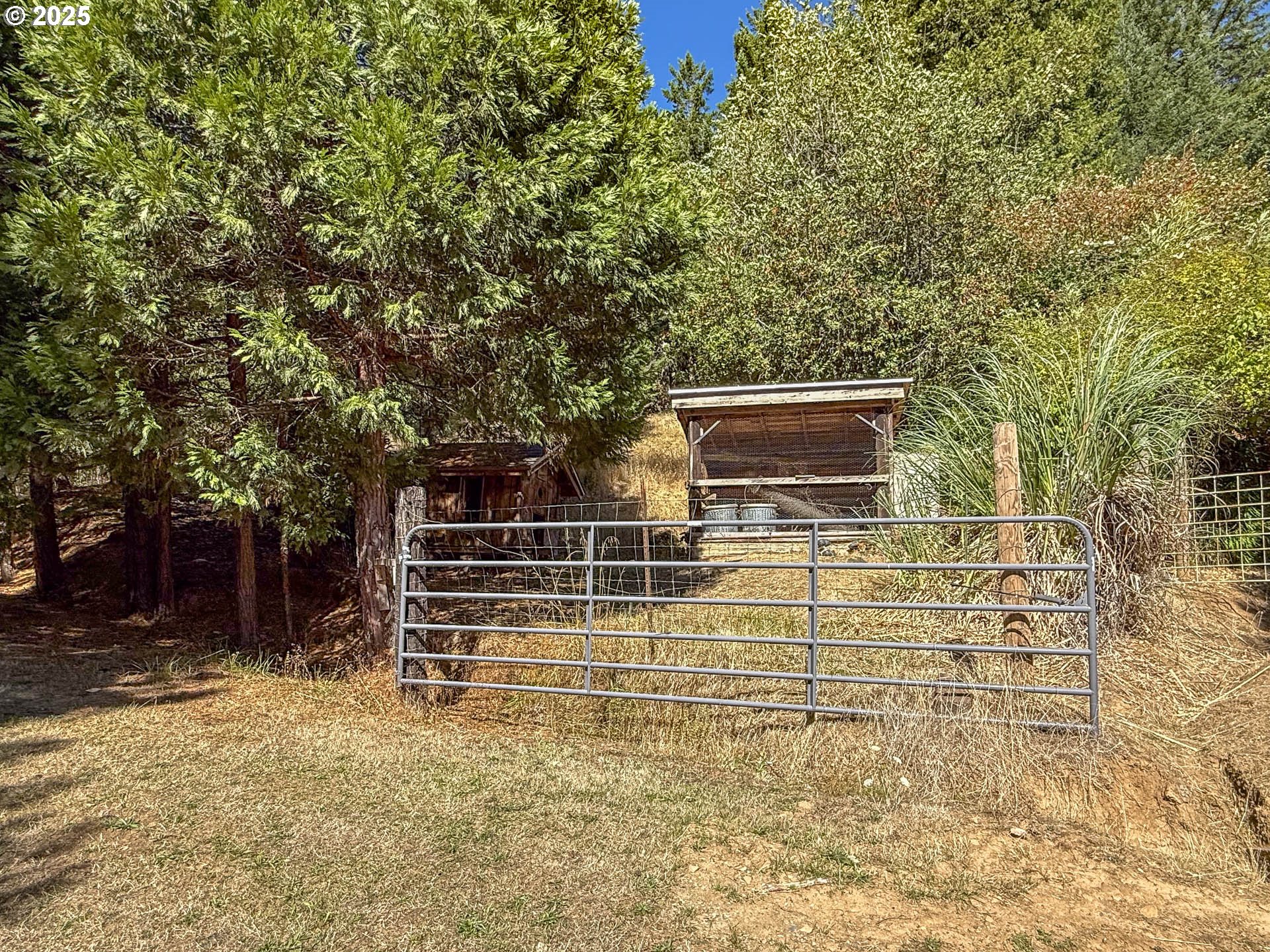 27001 Highway 42 Camas Valley, OR 97416 - Photo 7 of 15