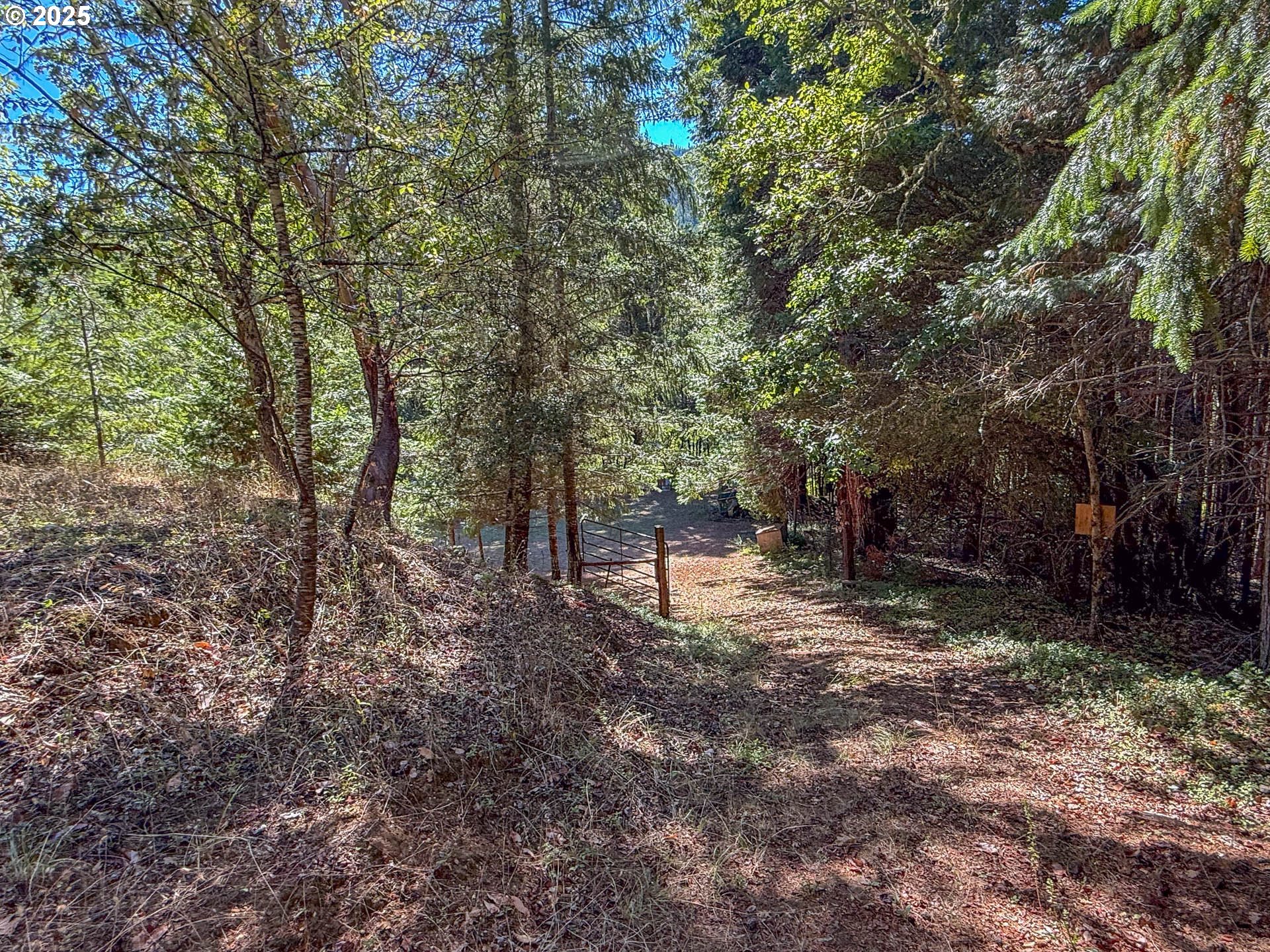 27001 Highway 42 Camas Valley, OR 97416 - Photo 8 of 15