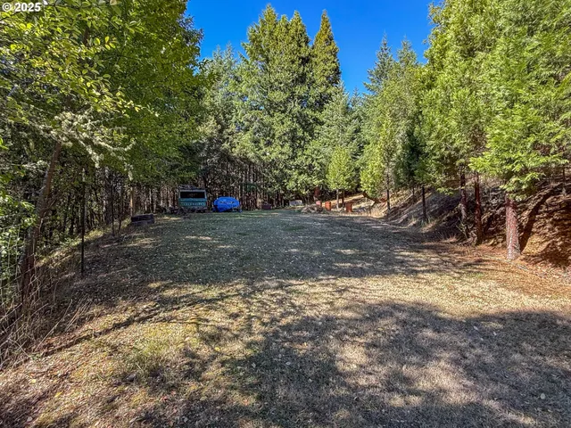 a view of a yard with large trees