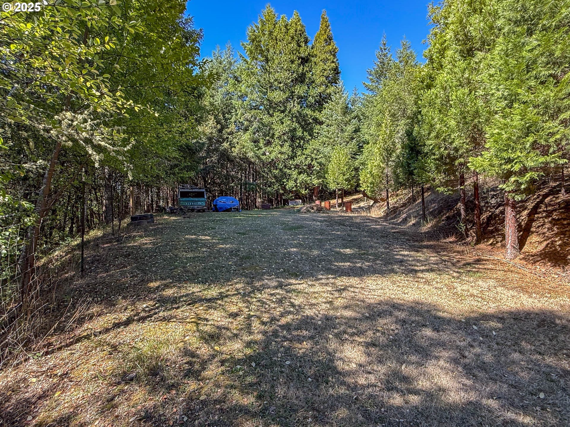 27001 Highway 42 Camas Valley, OR 97416 - Photo 9 of 15