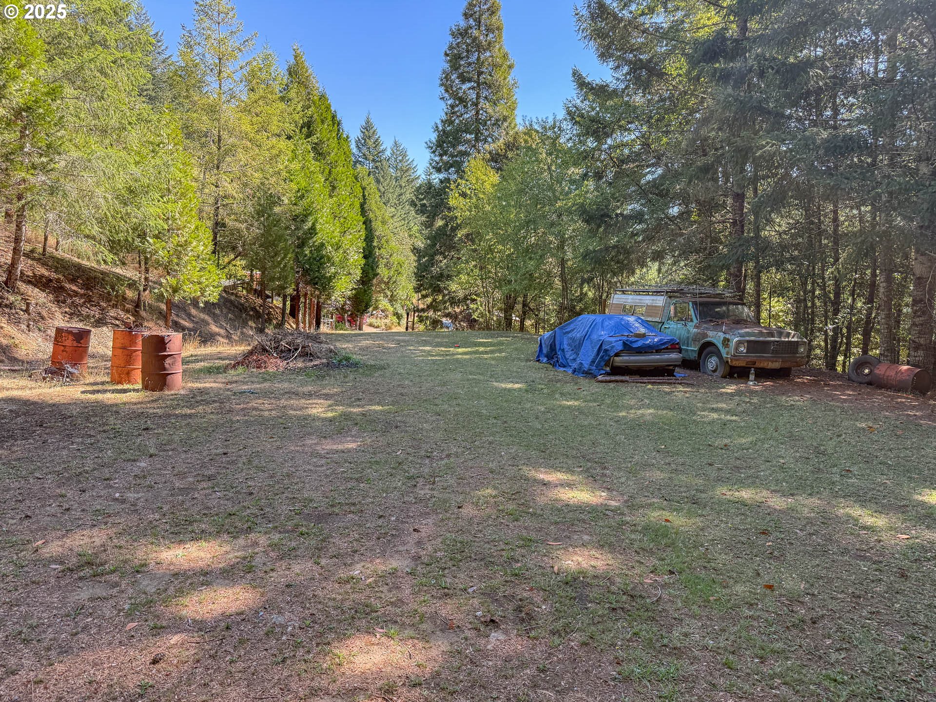 27001 Highway 42 Camas Valley, OR 97416 - Photo 10 of 15