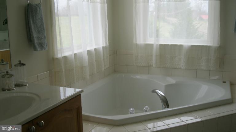 12039 Hume Road Hume, VA 22639 - Photo 17 of 17 Bath (Master)