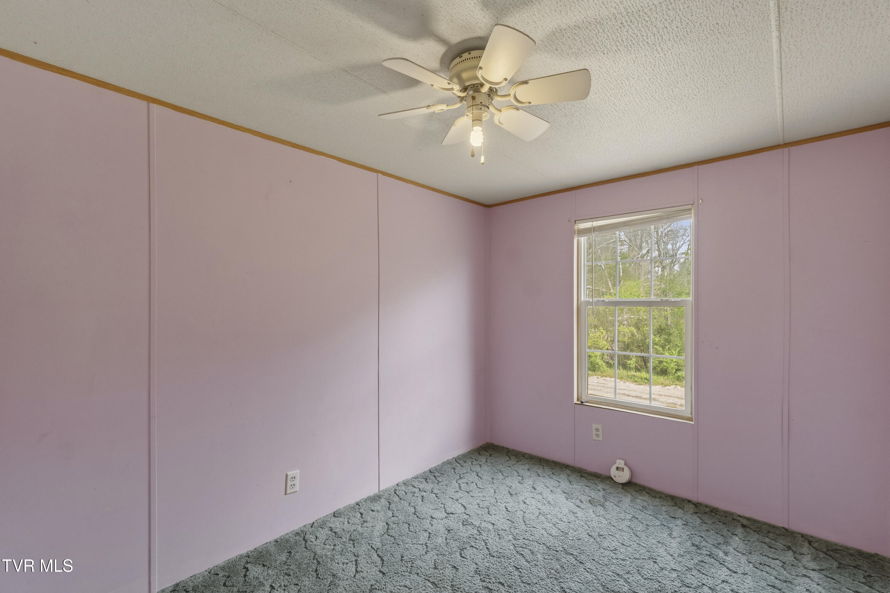 225 Carpenters Chapel Road Mosheim, TN 37818 - Photo 12 of 30 DSC06923