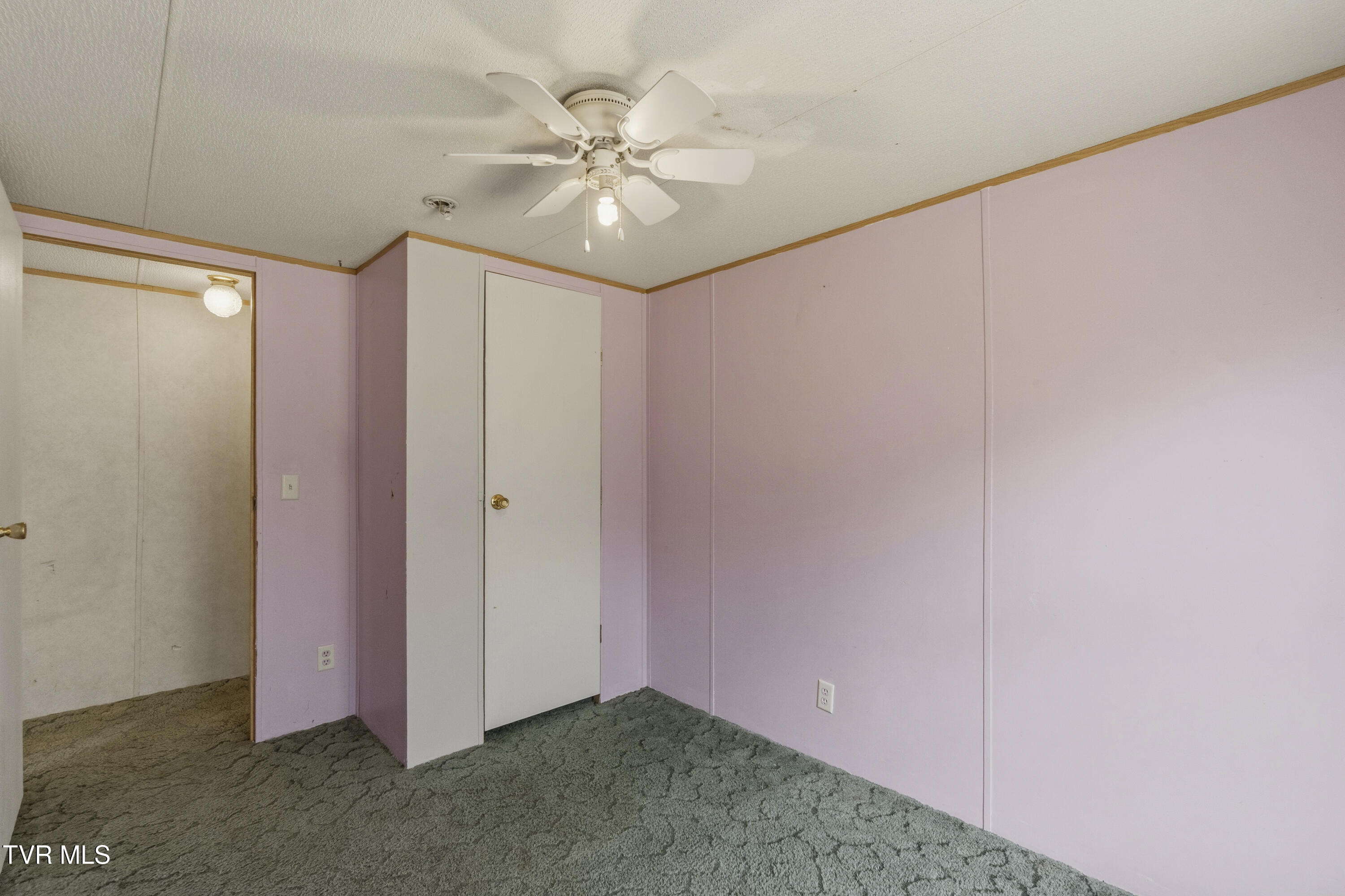 225 Carpenters Chapel Road Mosheim, TN 37818 - Photo 13 of 30 DSC06929