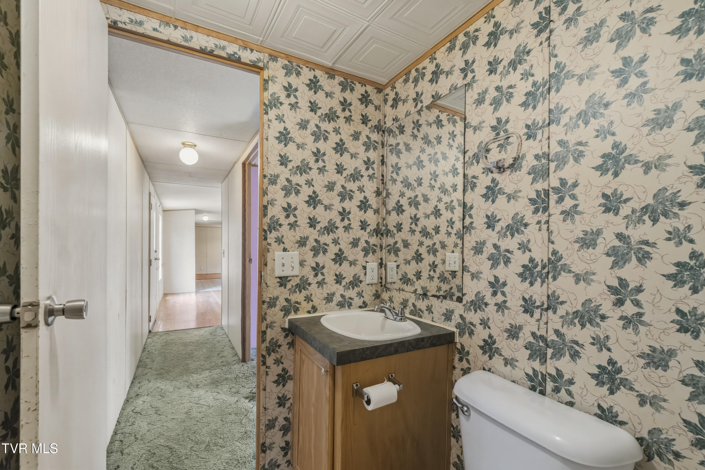 225 Carpenters Chapel Road Mosheim, TN 37818 - Photo 17 of 30 DSC06941