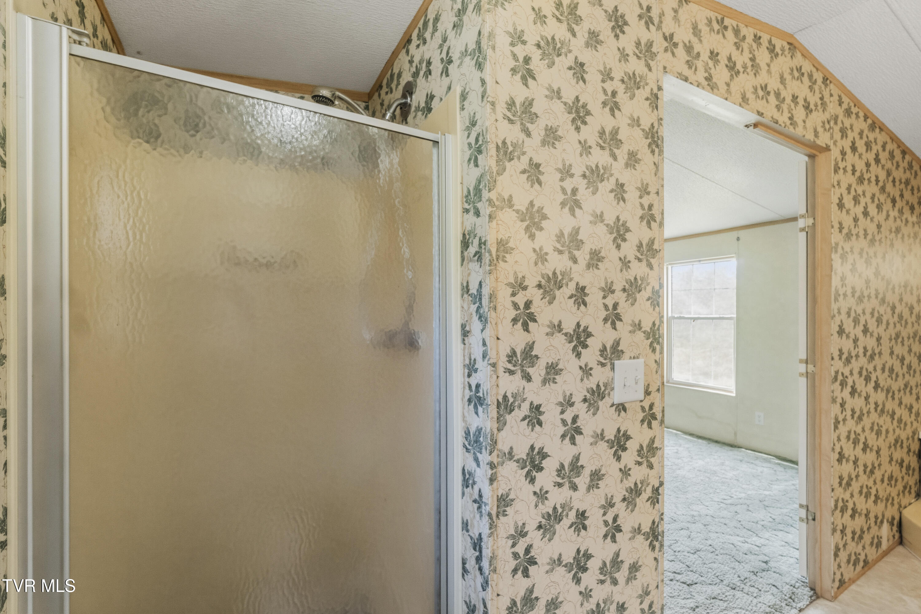 225 Carpenters Chapel Road Mosheim, TN 37818 - Photo 29 of 30 DSC06983