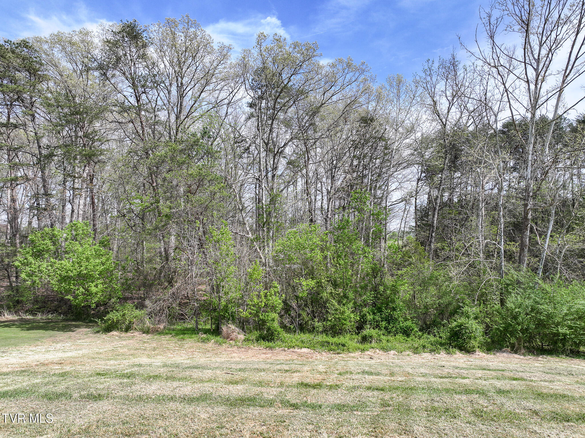 225 Carpenters Chapel Road Mosheim, TN 37818 - Photo 5 of 30 DJI_20260414142243_0570_D