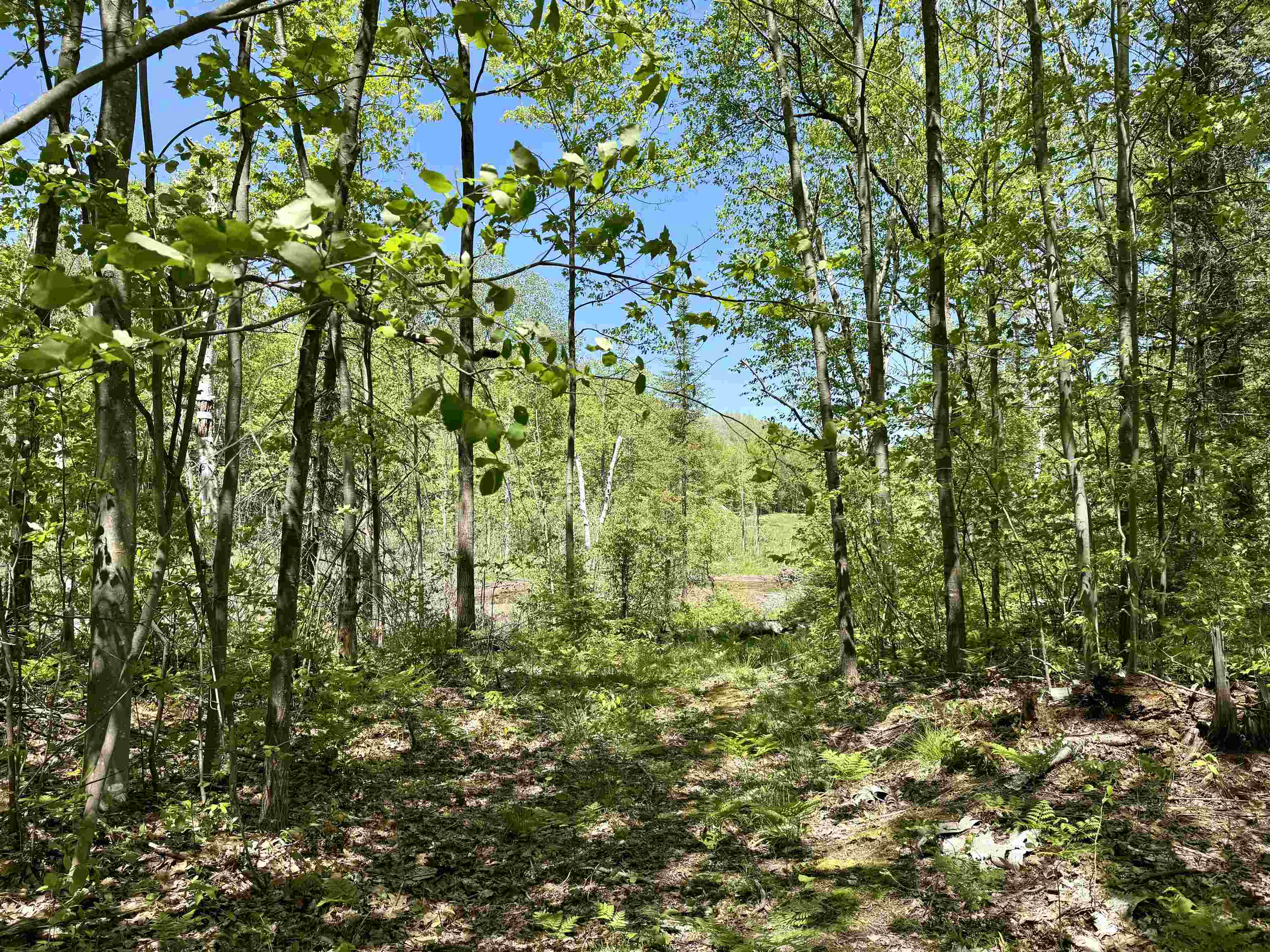 0 Ora Lake Road Hale, MI 48739 - Photo 10 of 22