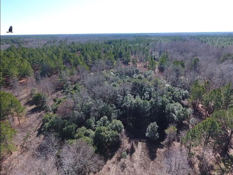 0 McLaurin Road Wedgefield, SC 29168 - Photo 1 of 15 Gallery Image 1