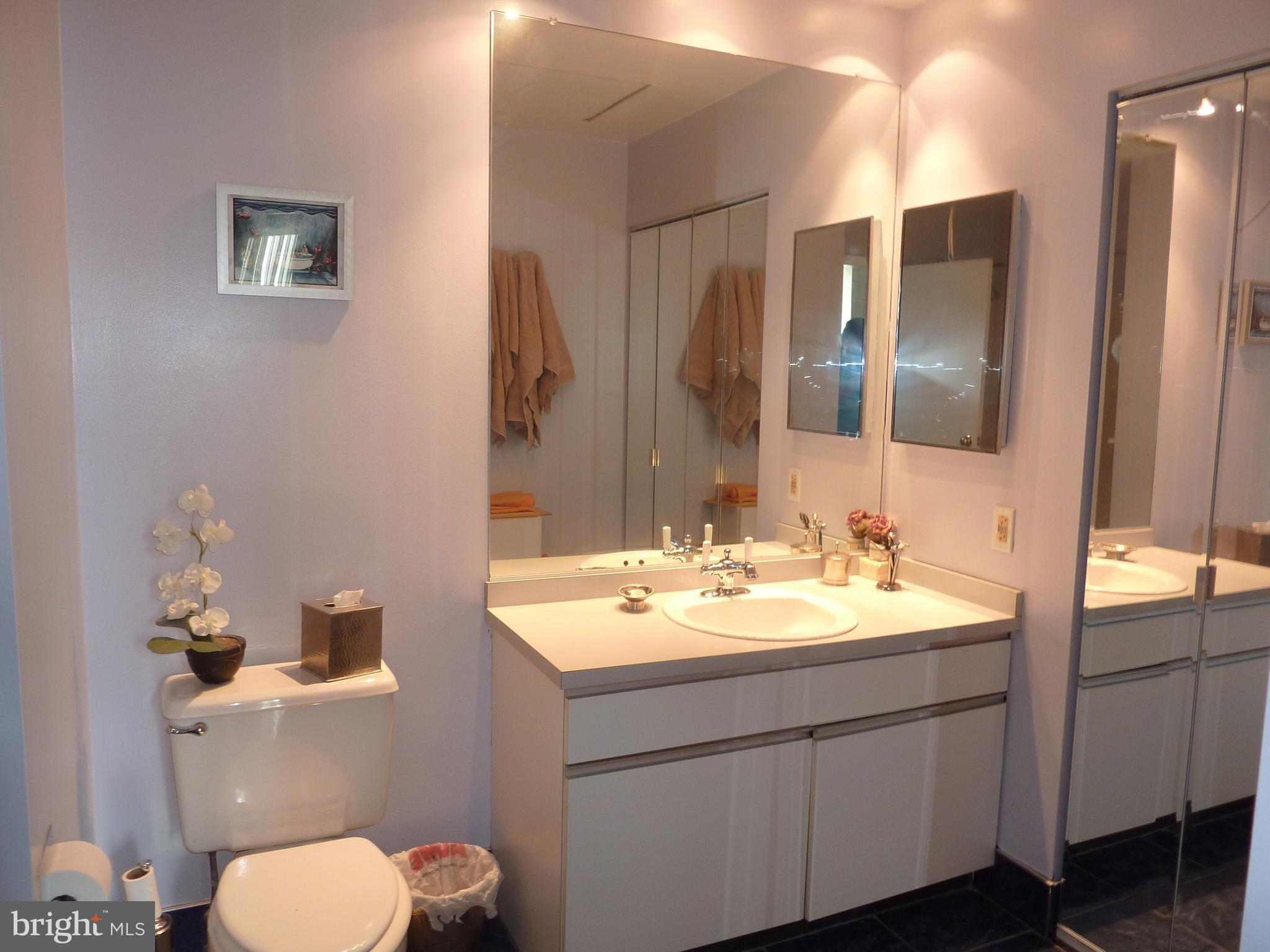 11 North 2nd Street, Unit 306 Philadelphia, PA 19106 - Photo 31 of 42 a bathroom with a toilet sink and mirror