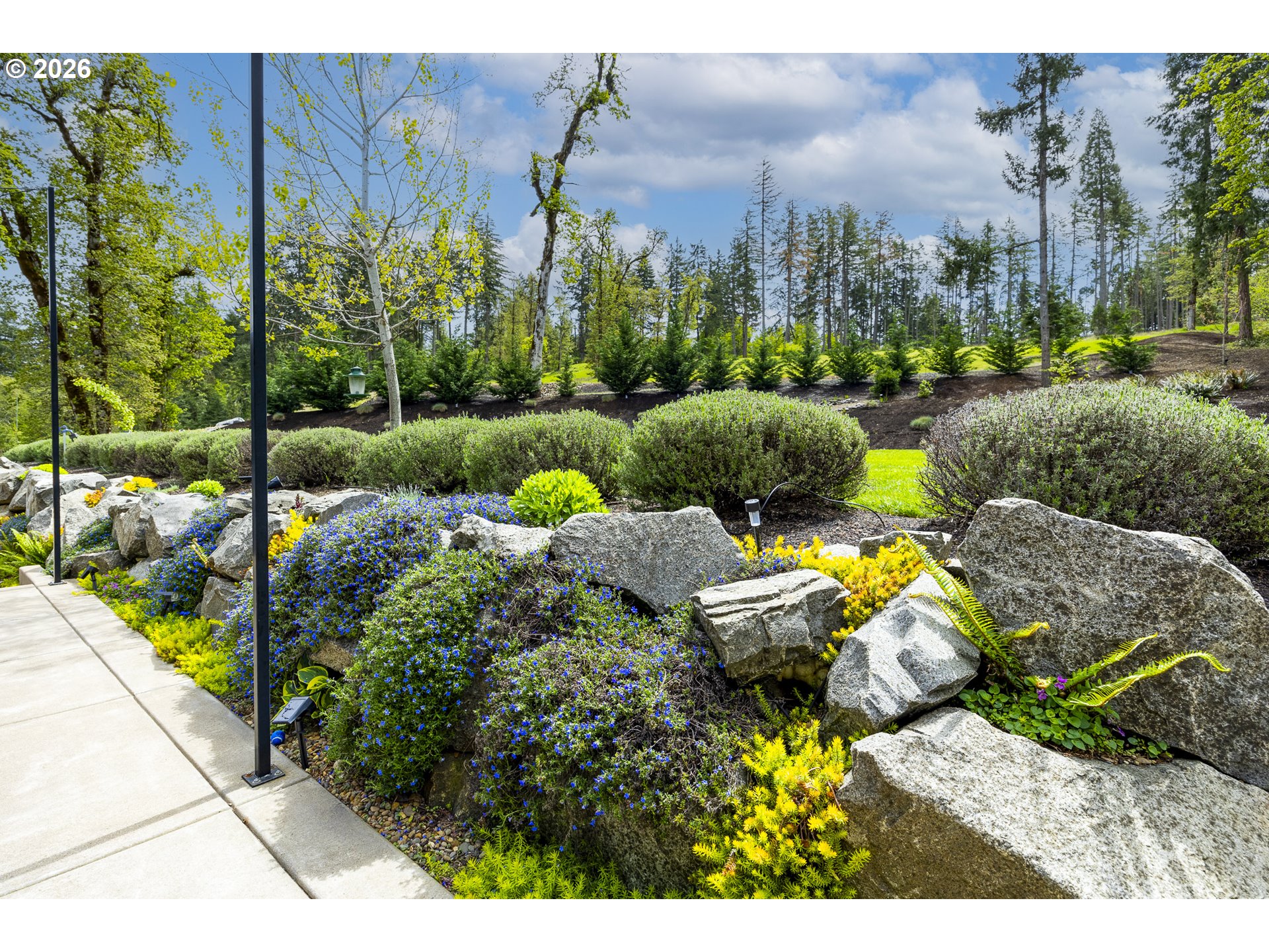 32568 Deberry Road Creswell, OR 97426 - Photo 27 of 41 a view of a garden with plants and large tree
