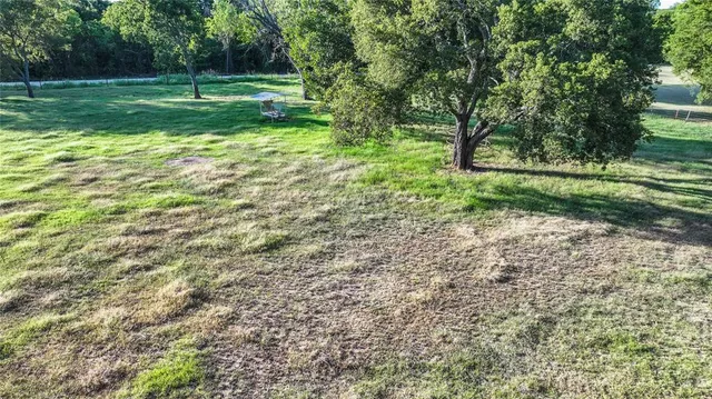 a view of a yard with a tree
