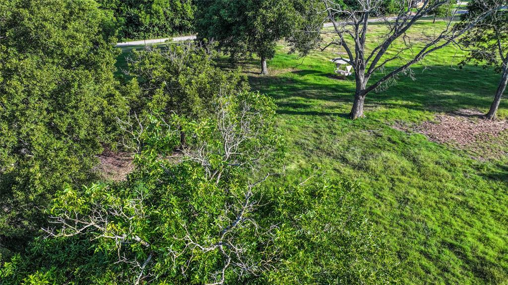708 West Howell Street St. Jo, TX 76265 - Photo 14 of 14 a lush green forest with lots of trees