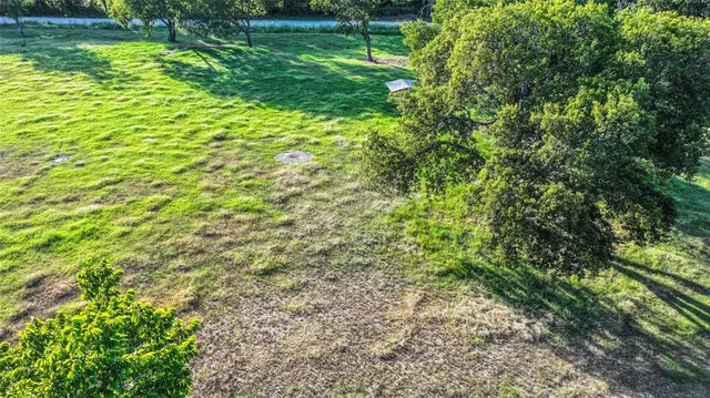 a view of a yard with plants and large trees