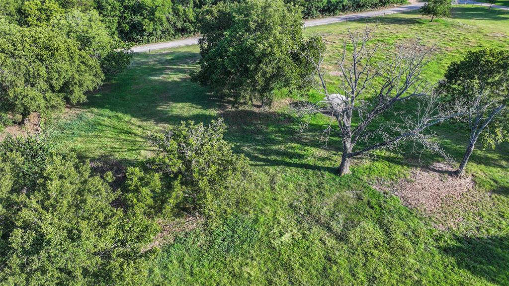708 West Howell Street St. Jo, TX 76265 - Photo 7 of 14 a view of a trees in a yard