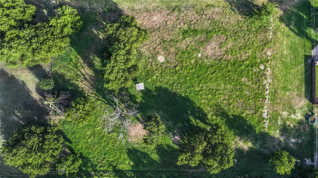 708 West Howell Street St. Jo, TX 76265 - Photo 8 of 14 a close up of a plant