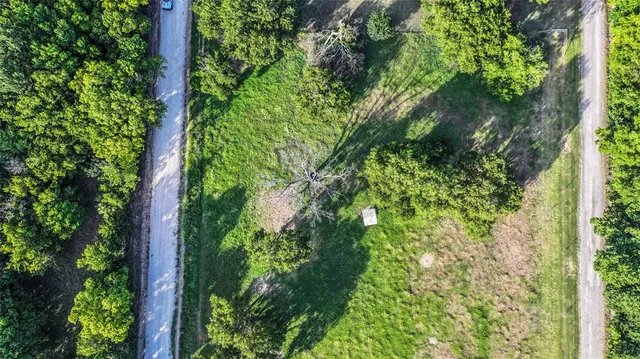 a view of a lush green forest