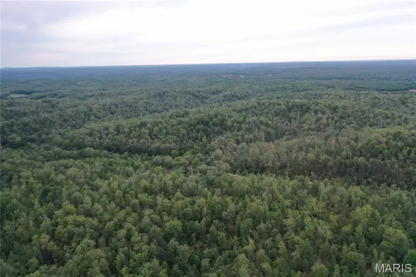 $43,900 | 636 County Road 636, Ellington, MO 63638