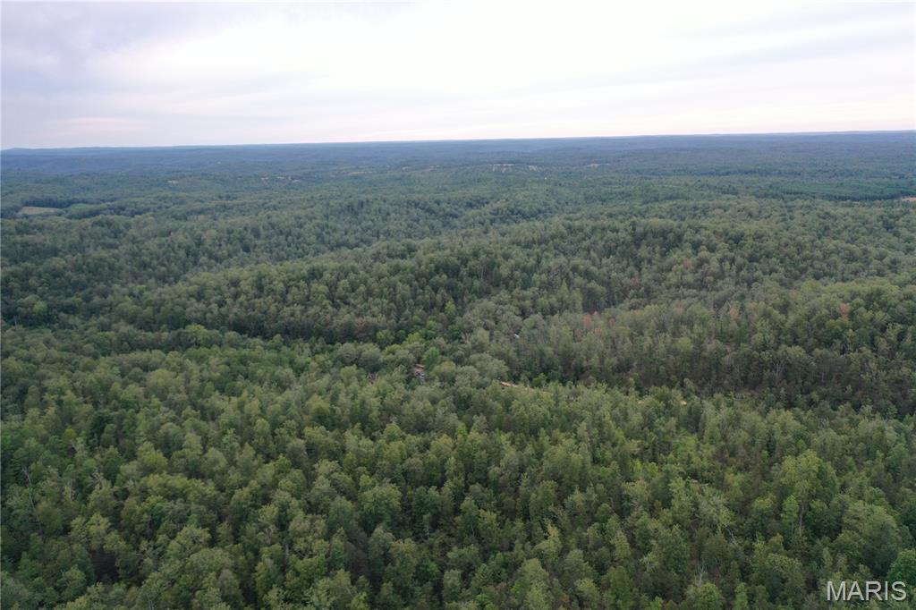 636 County Road 636 Ellington, MO 63638 - Photo 11 of 42