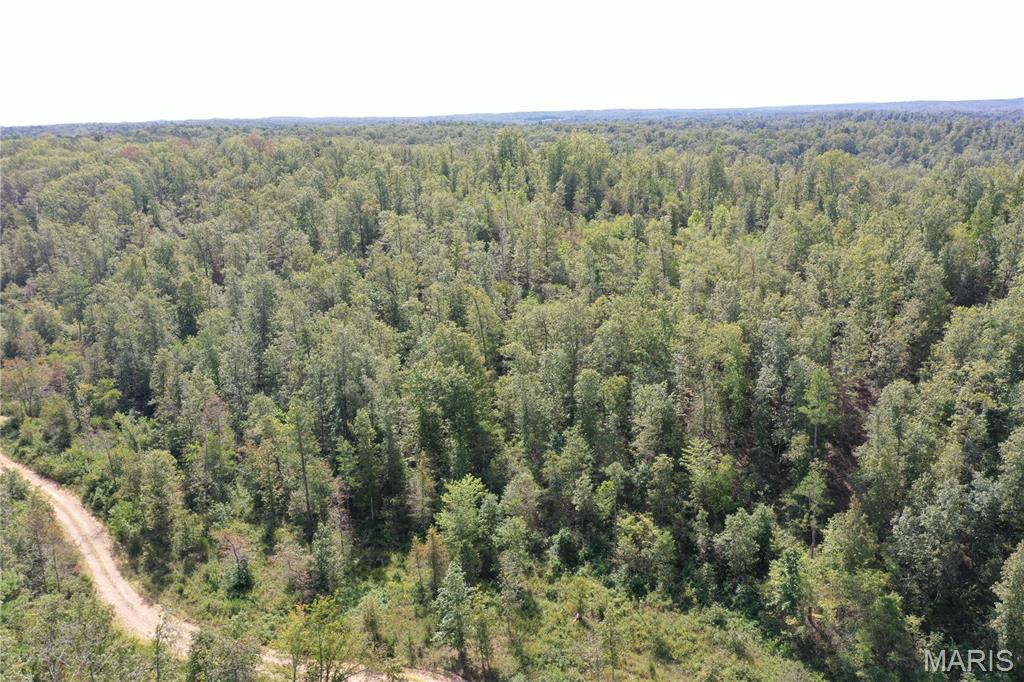 636 County Road 636 Ellington, MO 63638 - Photo 13 of 42