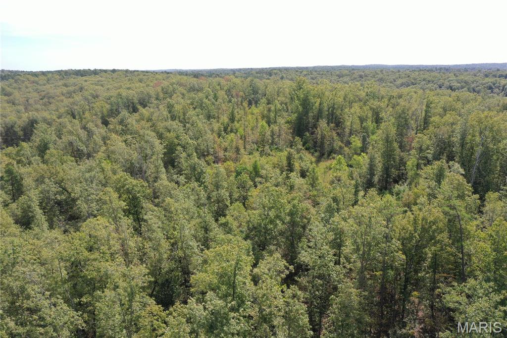 636 County Road 636 Ellington, MO 63638 - Photo 14 of 42