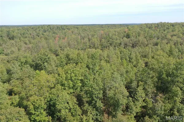 $43,900 | 636 County Road 636, Ellington, MO 63638