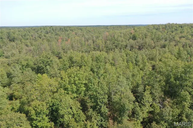 $44,900 | 636 County Road 636, Ellington, MO 63638