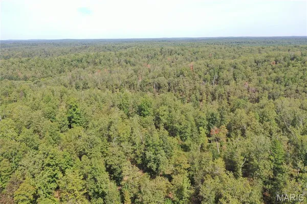 $43,900 | 636 County Road 636, Ellington, MO 63638