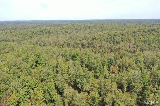 $44,900 | 636 County Road 636, Ellington, MO 63638