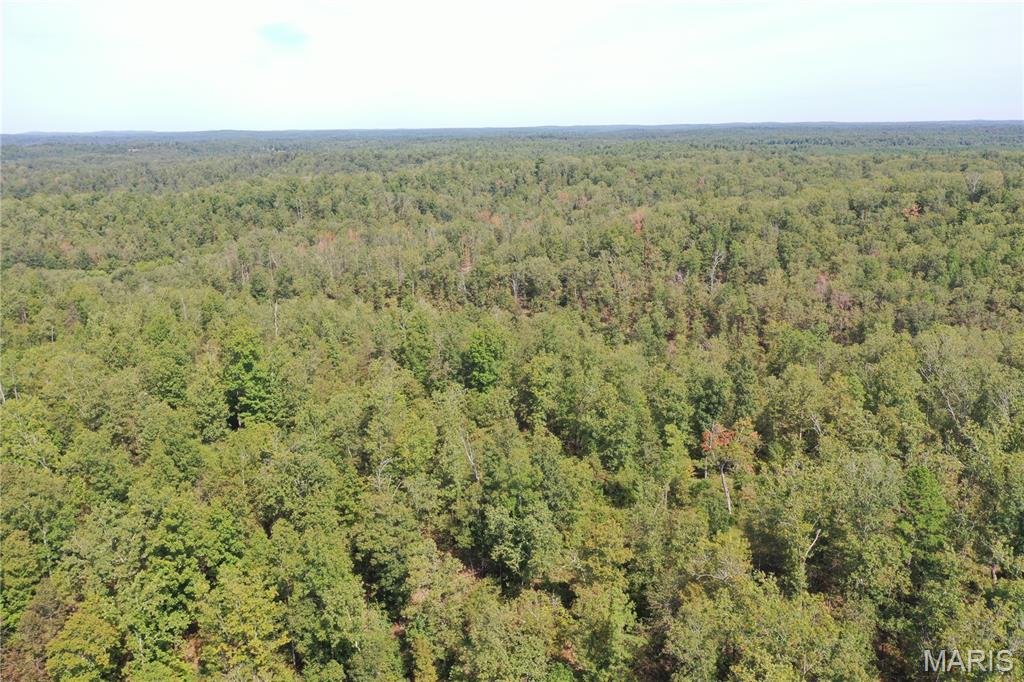 636 County Road 636 Ellington, MO 63638 - Photo 18 of 42