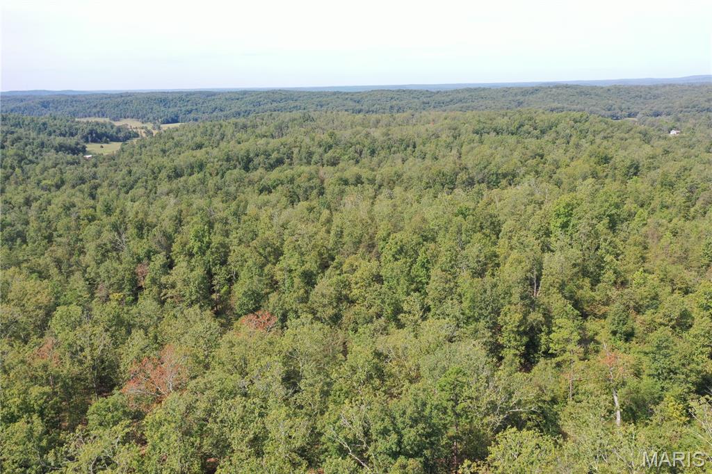 636 County Road 636 Ellington, MO 63638 - Photo 20 of 42