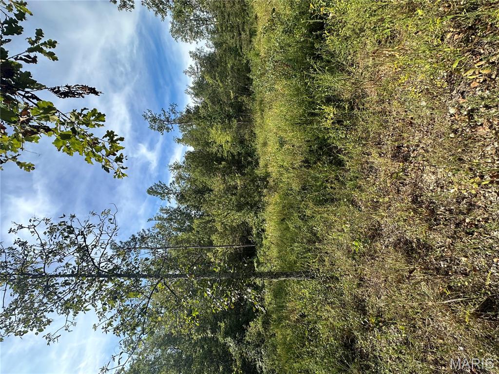 636 County Road 636 Ellington, MO 63638 - Photo 2 of 42