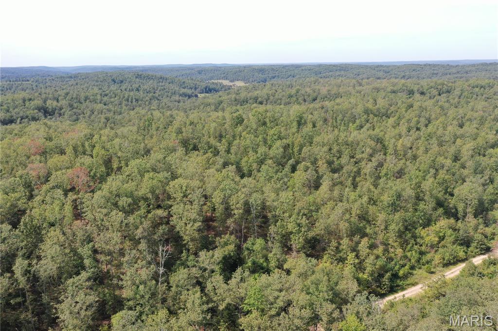 636 County Road 636 Ellington, MO 63638 - Photo 22 of 42