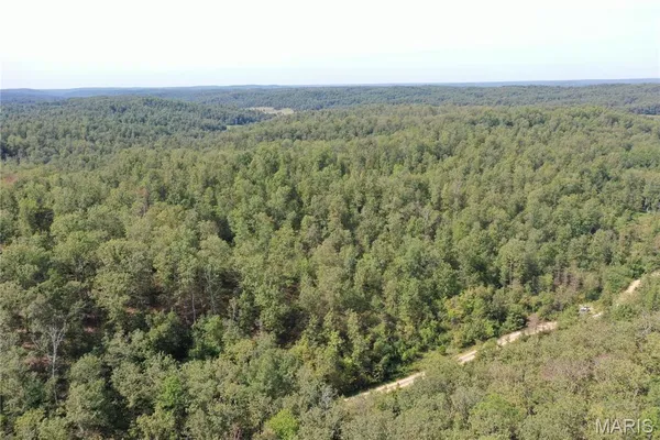 $43,900 | 636 County Road 636, Ellington, MO 63638