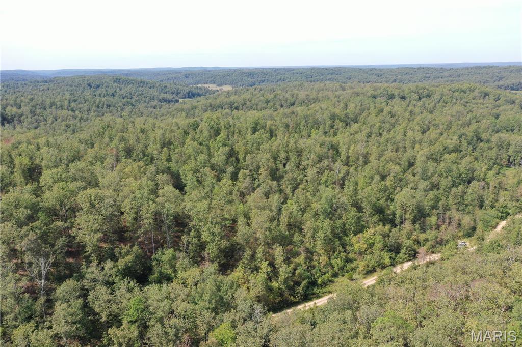 636 County Road 636 Ellington, MO 63638 - Photo 23 of 42