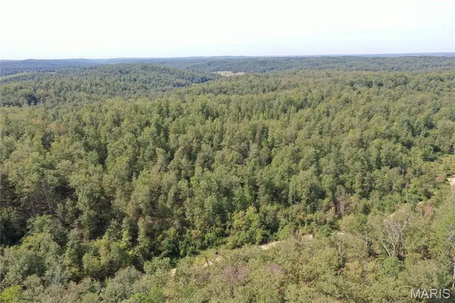 $44,900 | 636 County Road 636, Ellington, MO 63638