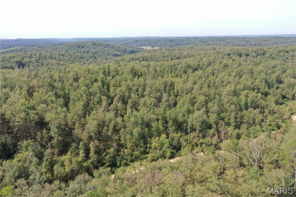 636 County Road 636 Ellington, MO 63638 - Photo 24 of 42