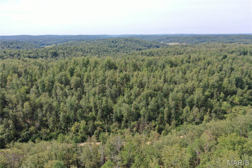 636 County Road 636 Ellington, MO 63638 - Photo 25 of 42