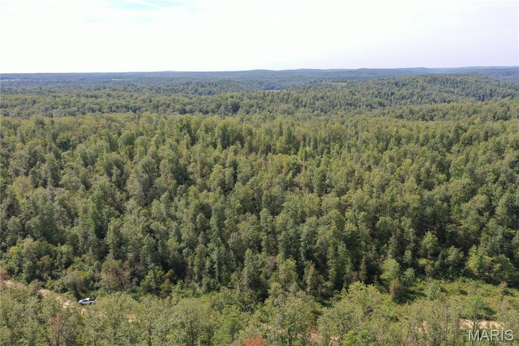 636 County Road 636 Ellington, MO 63638 - Photo 26 of 42