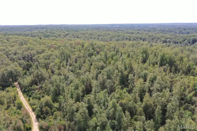 $44,900 | 636 County Road 636, Ellington, MO 63638