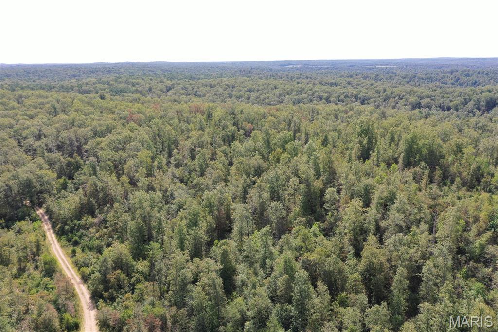 636 County Road 636 Ellington, MO 63638 - Photo 28 of 42