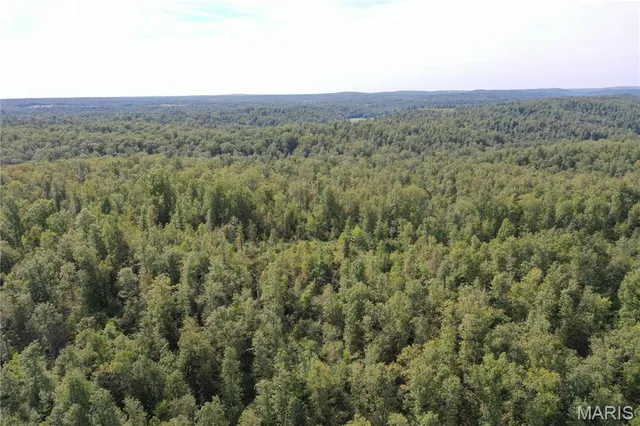 $44,900 | 636 County Road 636, Ellington, MO 63638