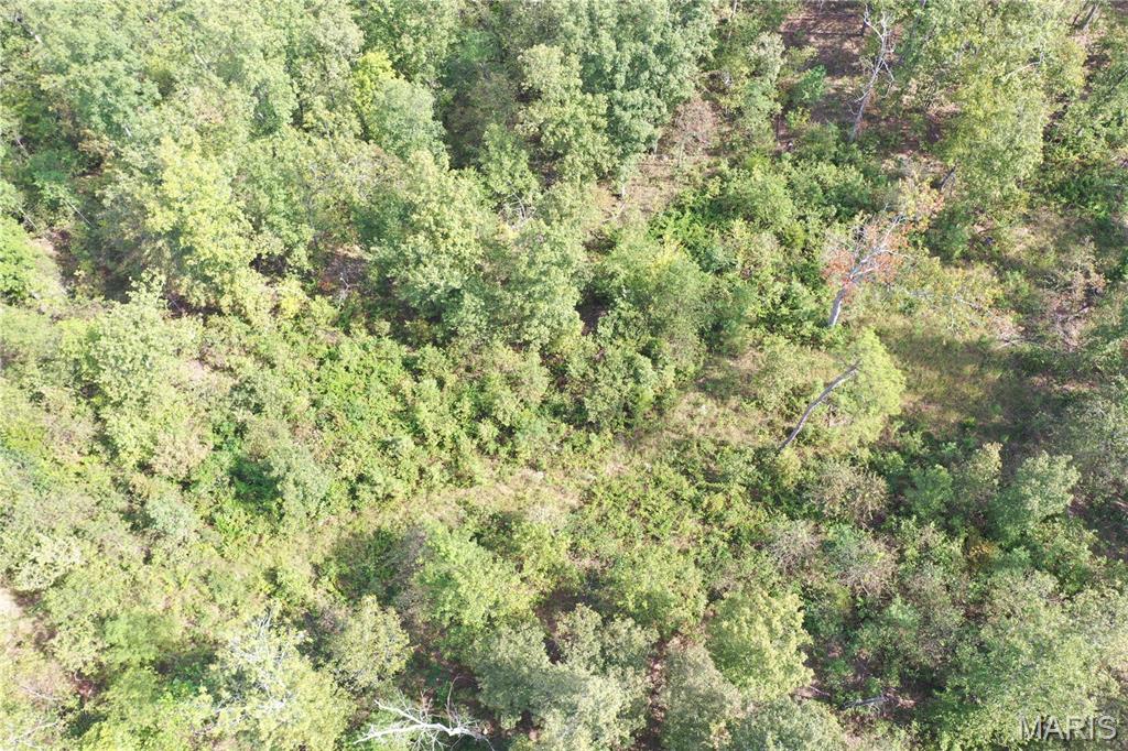 636 County Road 636 Ellington, MO 63638 - Photo 30 of 42