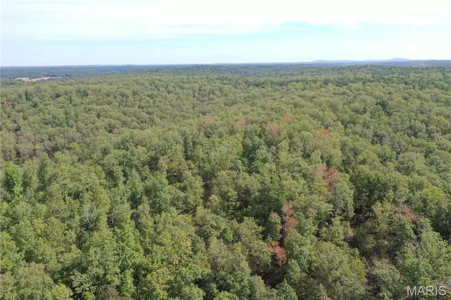 $44,900 | 636 County Road 636, Ellington, MO 63638