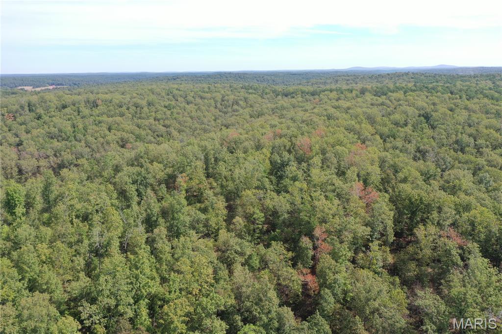 636 County Road 636 Ellington, MO 63638 - Photo 3 of 42