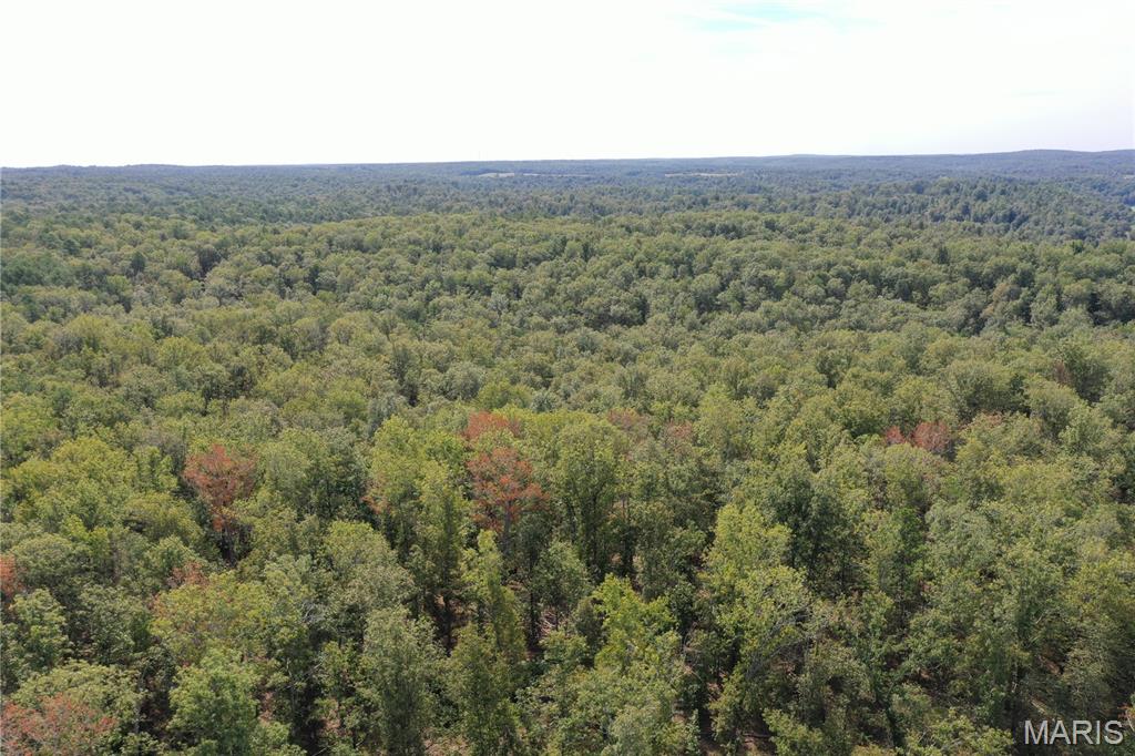 636 County Road 636 Ellington, MO 63638 - Photo 31 of 42