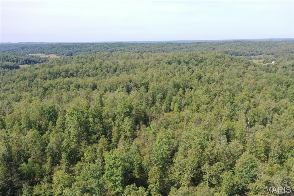 636 County Road 636 Ellington, MO 63638 - Photo 32 of 42