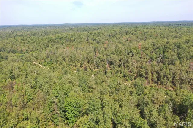 $44,900 | 636 County Road 636, Ellington, MO 63638