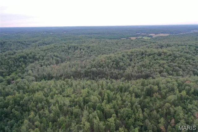 $44,900 | 636 County Road 636, Ellington, MO 63638