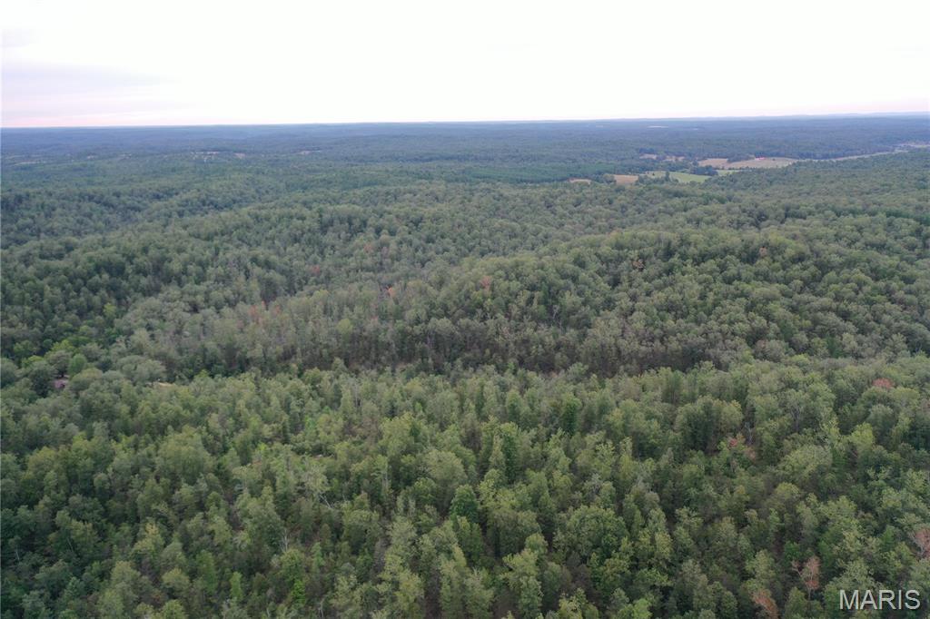 636 County Road 636 Ellington, MO 63638 - Photo 34 of 42